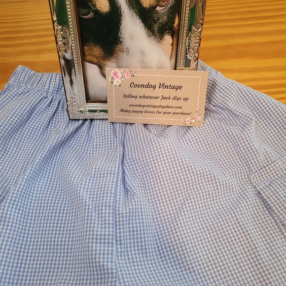 Blue Gingham Shorts - Picture 5 of 5